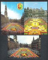 BRUSSEL - BRUXELLES - GROTE MARKT  -  BLOEMENTAPIJT -  3  POSTKAARTEN  - NELS (14.994) - Monuments, édifices