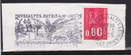 Flamme " RIVESALTES Patrie De Mr JOFFRE " (Palmiers, Raisin, Cheval) Sur Fragment _F118 - Mechanische Stempels (reclame)