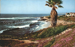 11705243 San_Diego_California California Shoreline Beach - Altri & Non Classificati