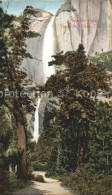 11705148 Yosemite_National_Park Falls - Altri & Non Classificati
