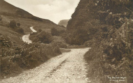 England Hill Bottom Valley Near Worth Dorset - Autres & Non Classés