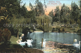 11705040 Los_Angeles_California Eastlake Park Schwaene - Andere & Zonder Classificatie