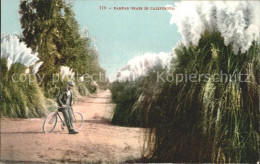 11705031 California_US-State Pampas Grass Mann Mit Fahrrad - Autres & Non Classés