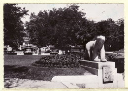 22075 / ⭐ DIJON Monument POMPON L' Ours Polaire Architecte JOLY DELVALAT 1950s - REAL PHOTO CAP 104-Cote-d'Or - Dijon