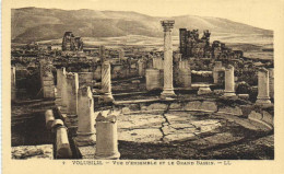 VOLUBILIS  Vue D'ensemble Et Le Grand Bassin RV - Sonstige & Ohne Zuordnung