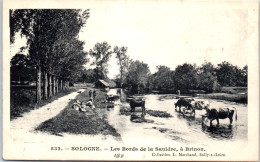 18 BRINON SUR SAULDRE - Les Bords De La Sauldre  - Brinon-sur-Sauldre