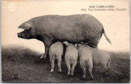 AGRICULTURE - Une Heureuse Famille De Cochons  - Autres & Non Classés