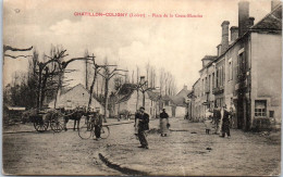 45 CHATILLON COLIGNY - Place De La Croix Blanche  - Chatillon Coligny