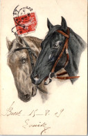 ANIMAUX - CHEVAL - Medaillon De 2 Chevaux.  - Horses