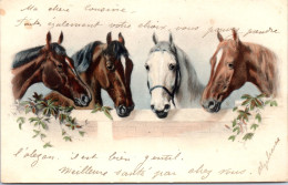 ANIMAUX - CHEVAL - Vue De Quatre Chevaux.  - Horses