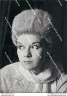 Fo1932 Foto Originale Marina Dolfin Actress Attrice Movie  Film  Star - Sonstige & Ohne Zuordnung