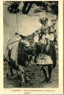 INDE - Madras, Vache Sacree Paree Pour Une Fete  - Inde