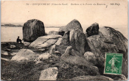 22 LOCQUEMEAU - Rocher A La Pointe Du Dourvin  - Other & Unclassified