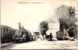 45 MALESHERBES - Arrivee D'un Train En Gare  - Malesherbes