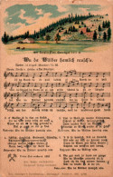 H2058 - Litho Anton Günther Liedkarte - Wu Da Wälder Hamlich Rauschn ... - Gottesgab Sudentengau - Muziek En Musicus