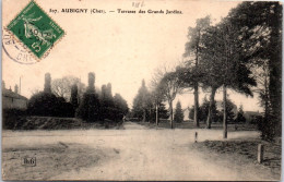 18 AUBIGNY - Terrasse Des Grands Jardins. - Aubigny Sur Nere