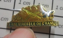 1518B Pin's Pins / Beau Et Rare / MARQUES / CARRIERE SABLIERES DE L'ILE DE FRANCE - Markennamen