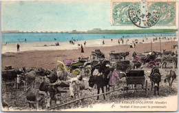 85 SABLES D'OLONNE - Station D'anes Pour La Promenade  - Sables D'Olonne