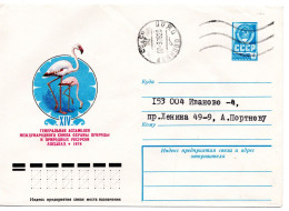 64067 - Russland / UdSSR - 1978 - 4K GAU "Naturschutzkongress Ashkhabad / Flamingos" Innerh V IVANOVO - Flamingos