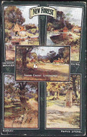 NEW FOREST 5 Pictures Postcard Sent 1922 From Bournemouth  - Autres & Non Classés