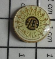 311B Pin's Pins / Beau Et Rare / ASSOCIATIONS / AMICALE A L E ALE - Asociaciones