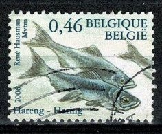 Belg. 2004 - 3537, Yv 3523, Mi 3585 Noordzeevissen / Poissons De La Mer Du Nord - Usati