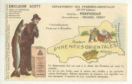 66/CPA - Belle Carte Représentant Le Département Des Pyrénées Orientales (Emulsion Scott) - Andere & Zonder Classificatie