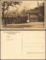 Neukloster - Niederelbe-Buxtehude Ottenstreuers Waldseehaus Klosterkrug 1919 - Buxtehude