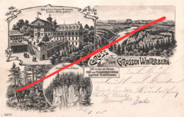 Litho AK Großer Winterberg Hotel Gasthof Kipphorn Aussicht A Bad Schandau Stempel Rochlitz Rochlice Sächsische Schweiz - Schmilka