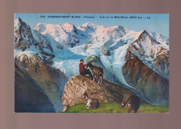 CPA - 74 - Chamonix-Mont Blanc - Planpraz - Vue Sur Le Mont-Blanc - Colorisée - Animée - Non Circulée - Chamonix-Mont-Blanc