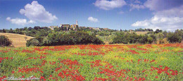 Pienza(siena) - Panorama - Non Viaggiata - Siena