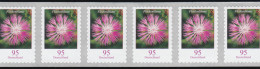 3483 Flockenblume 95 Cent Sk 11er-Übergang 2/3-stellig 95-100-105, ** - Rollenmarken