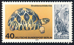 554 Aquarium 40 Pf Strahlenschildkröte ** - Neufs