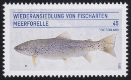 3120 Wiederansiedlung Der Fischarten - Die Meerforelle ** - Unused Stamps