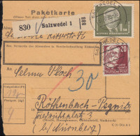 253 Pieck 1 DM Mit Kollwitz 20 Pf Auf Paketkarte SALZWEDEL 31.10.1952 - Otros & Sin Clasificación