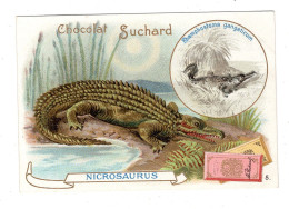 Chromo Chocolat Suchard S 80 / 8, Serie Animaux Préhistorique, Dinosaure, "crocodile" - Suchard