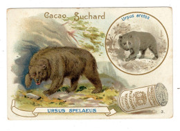 Chromo Chocolat Suchard S 80 / 3, Serie Animaux Préhistorique, Ours - Suchard