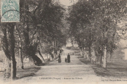 LAMARCHE  Avenue Des Tilleuls - Lamarche