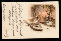 AK Weihnachten: Winteridylle Im Garten, Tor Und Vögel, BERLIN 14 - 23.12.1900 - Other & Unclassified