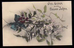 AK Neujahr: Beeren- Und Blütenzweige, PASSAU 31.12.1909 - Nouvel An