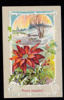 AK Neujahr: Winter- Und Frühjahrsmotive, DRESDEN-NEUSTADT 31.12.1911 - Nouvel An