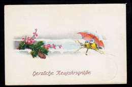 AK Neujahr: Vogelpaar Unter Regenschirm Tannenzweig Blumen, DRESDEN 31.12.1925 - Nouvel An