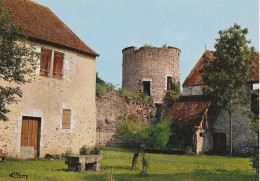 45 - Dordives  -  Château De Mez Le Maréchal - Dordives