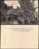 Cartoline Como Lago Di Como Giardini Della Villa Carlotta 1909 - Autres & Non Classés