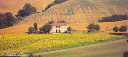 Val D'arbia(siena) - Non Viaggiata - Siena