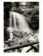 Ref 1 - Photo + Négatif : Chute D'eau De Saint Beat , Lac De Thoune - Suisse . - Europe