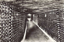 *CPA  - 37 - VOUVRAY - Caves BASSEREAU-VAVASSEUR - Une Allée De Bouteilles Sur Lattes - Vouvray