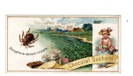 Chromo Chocolat Suchard S 63 / G, Serie Coléoptères, Scarabées, Käfer - Suchard