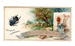 Chromo Chocolat Suchard S 63 / C, Serie Coléoptères, Scarabées, Käfer - Suchard