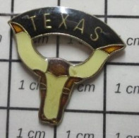 718B Pin's Pins / Beau Et Rare / ANIMAUX / TETE DE VACHE LONGHORN TEXAS USA - Animali